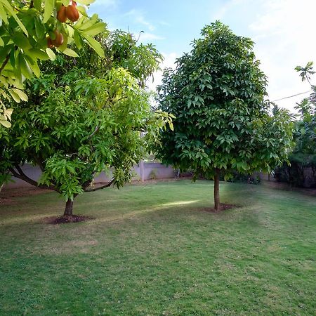 Sunspot Villa Runaway Bay Dış mekan fotoğraf